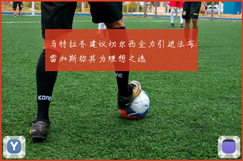 马特拉齐建议切尔西全力引进法布雷加斯称其为理想之选